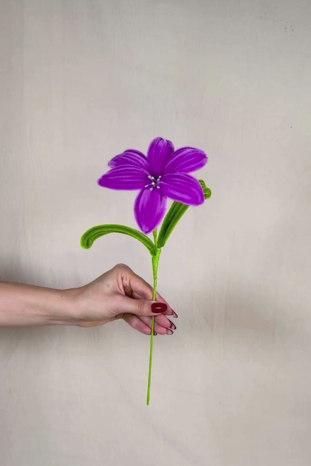 Video di un Giglio magenta in scovolini in tenuto in mano e fatto vedere a 360 gardi su sfondo neutro - il fiore è fatto a mano 34 cm – fiore artigianale decorativo realizzato in Italia da Made By Hand.