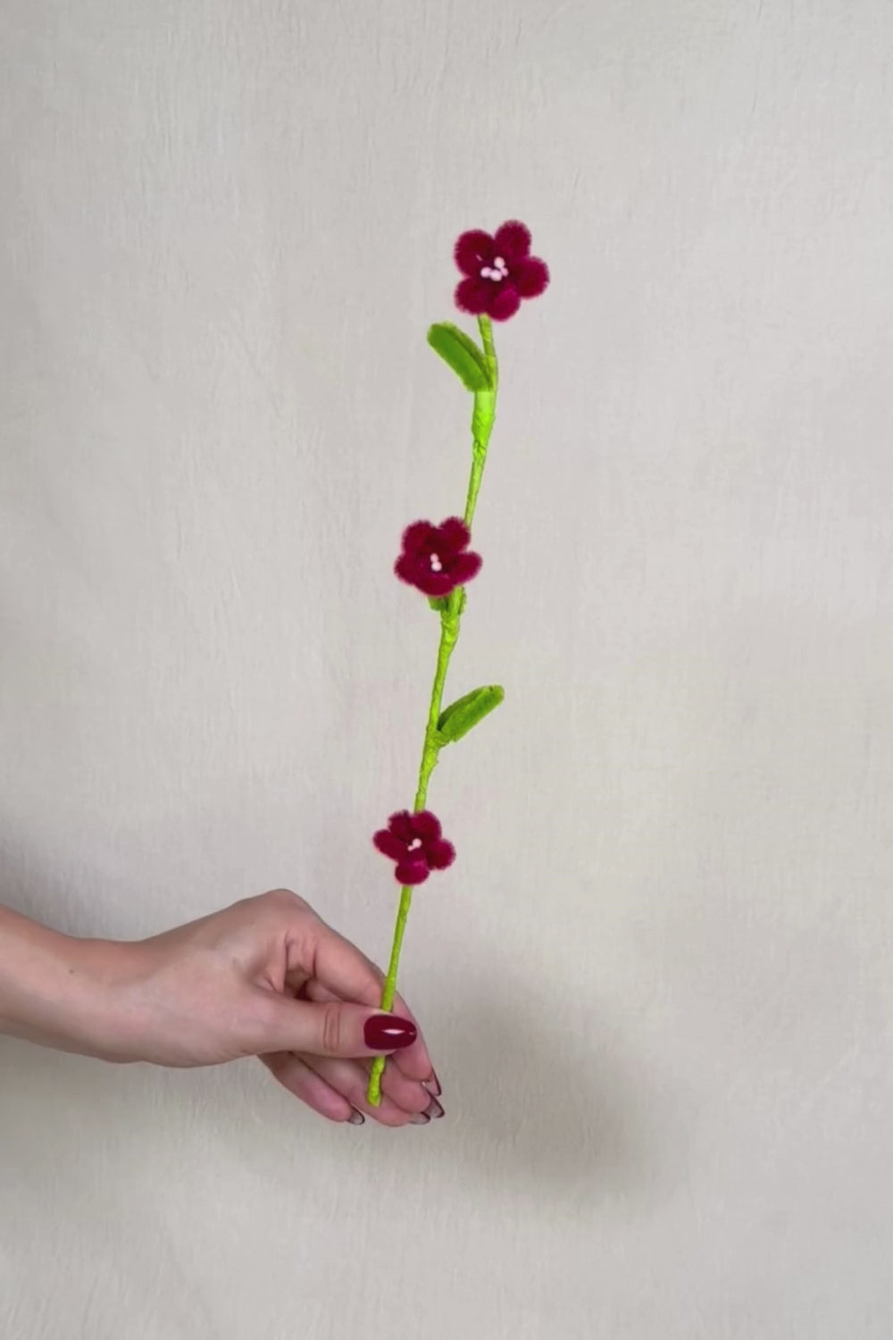 Video che fa vedere a 360 gradi un rametto con 3 mini margherite bordeaux in scovolini, fatto a mano da Made By Hand in Italia, fiore artigianale decorativo 34 cm ideale per mazzi o regali floreali sostenibili