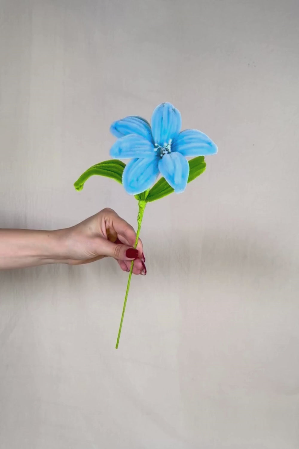 Video di un Giglio azzurro in scovolini in tenuto in mano e fatto vedere a 360 gardi su sfondo neutro - il fiore è fatto a mano 34 cm – fiore artigianale decorativo realizzato in Italia da Made By Hand.