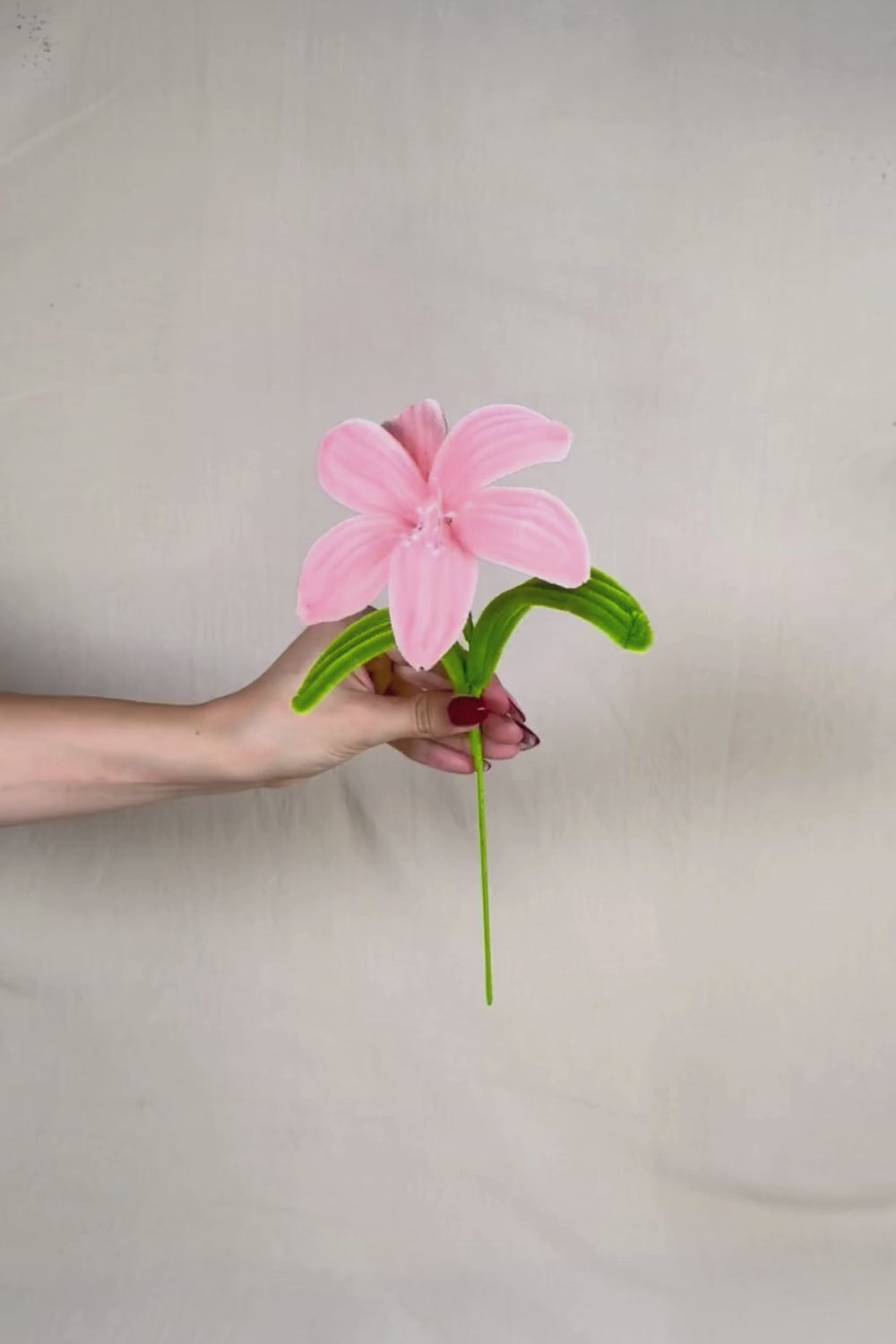 Video di un Giglio rosa in scovolini in tenuto in mano e fatto vedere a 360 gardi su sfondo neutro - il fiore è fatto a mano 34 cm – fiore artigianale decorativo realizzato in Italia da Made By Hand.
