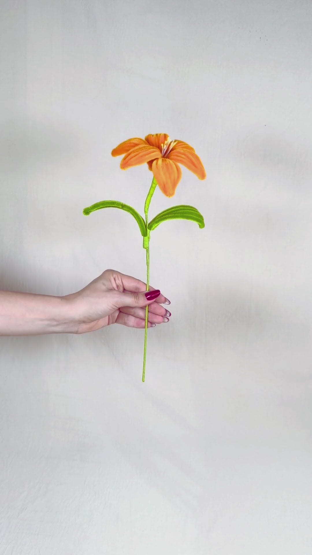 Video di un Giglio arancione in scovolini in tenuto in mano e fatto vedere a 360 gardi su sfondo neutro - il fiore è fatto a mano 34 cm – fiore artigianale decorativo realizzato in Italia da Made By Hand.