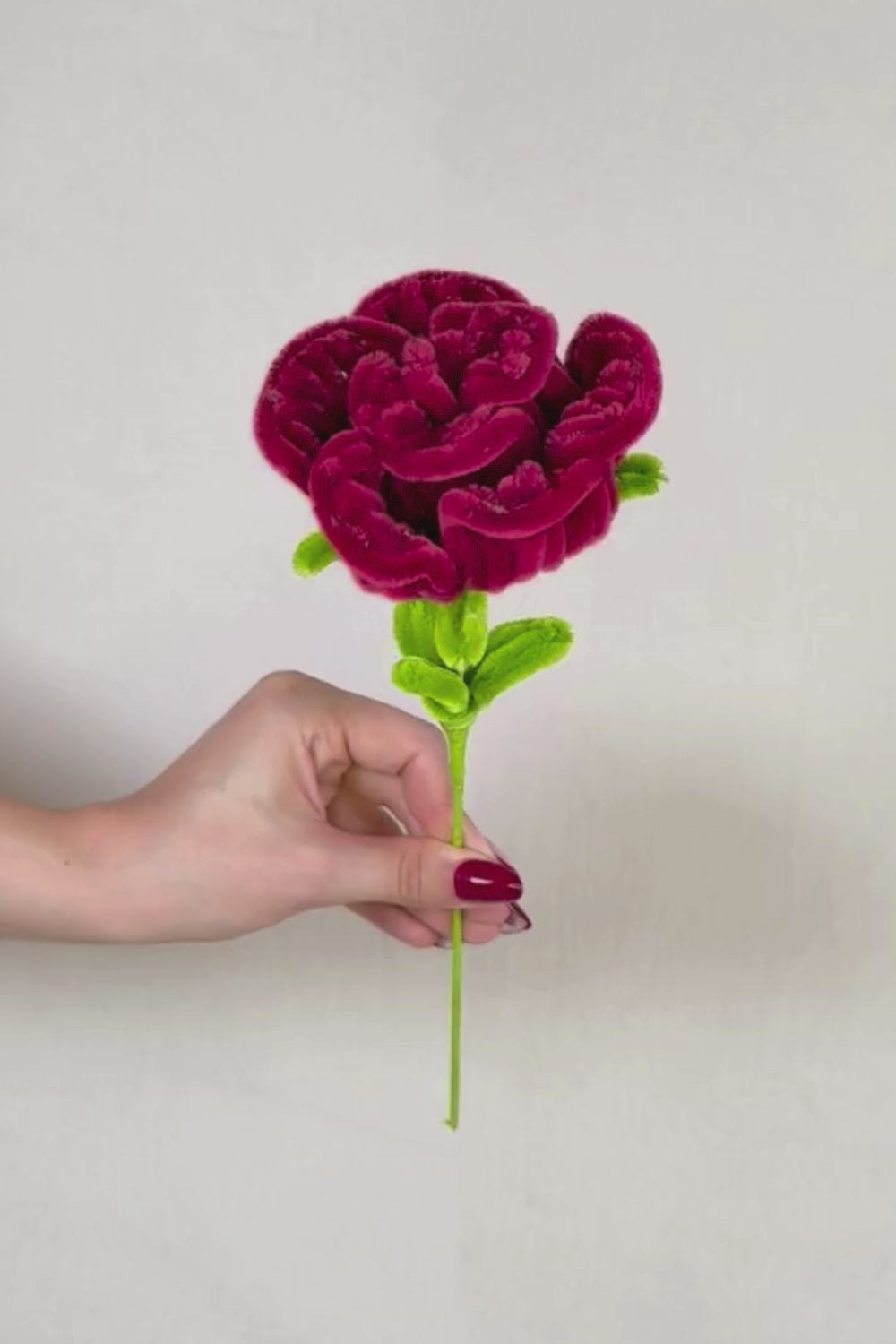 Video 360° della rosa bordeaux in scovolini fatta a mano di Made By Hand, fiore artigianale realistico da 34 cm che mostra i dettagli del lavoro manuale.