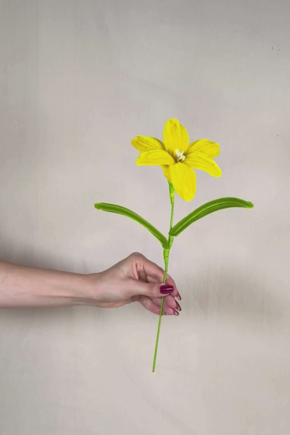 Video di un Giglio giallo in scovolini in tenuto in mano e fatto vedere a 360 gardi su sfondo neutro - il fiore è fatto a mano 34 cm – fiore artigianale decorativo realizzato in Italia da Made By Hand.