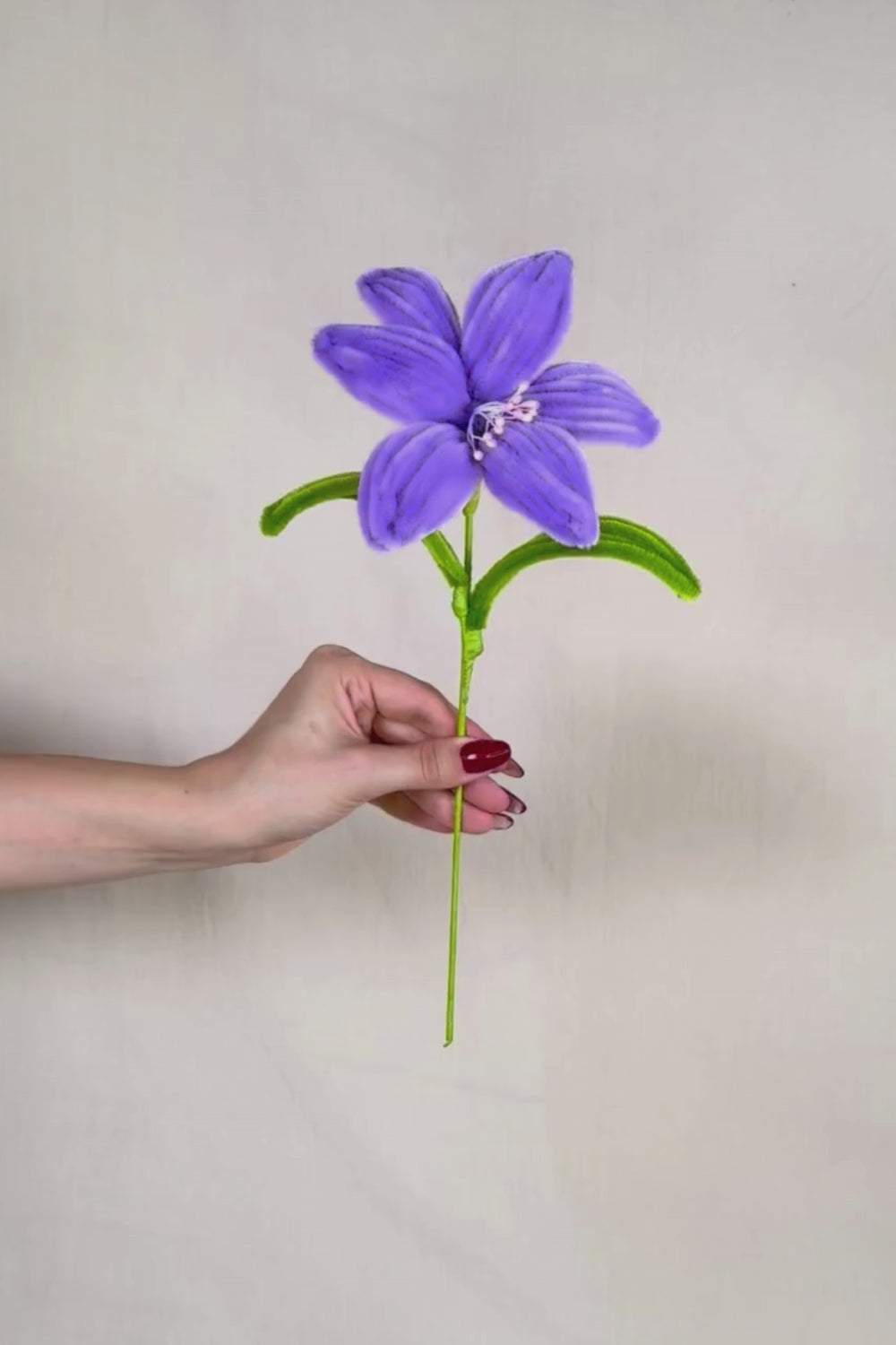 Video di un Giglio lilla in scovolini in tenuto in mano e fatto vedere a 360 gardi su sfondo neutro - il fiore è fatto a mano 34 cm – fiore artigianale decorativo realizzato in Italia da Made By Hand.