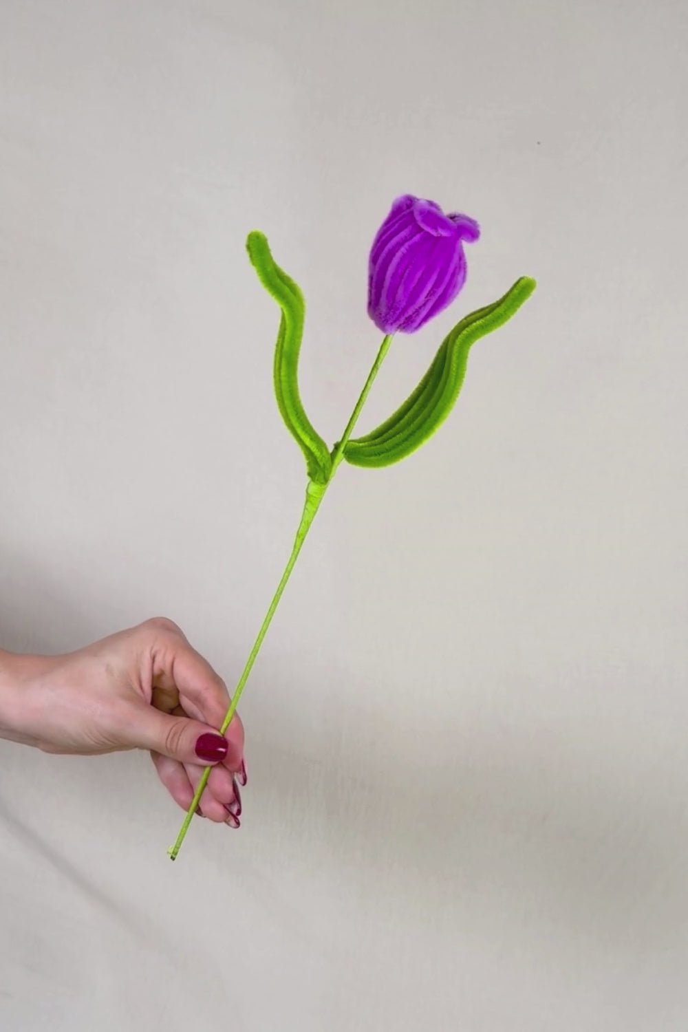 Video che fa vedere a 360 gradi un un tulipano magenta in scovolini, fatto a mano da Made By Hand in Italia, fiore artigianale decorativo 34 cm ideale per mazzi o regali floreali sostenibili